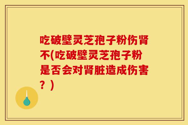 吃破壁灵芝孢子粉伤肾不(吃破壁灵芝孢子粉是否会对肾脏造成伤害？)-第1张图片-灵芝之家