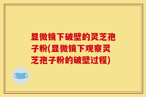 显微镜下破壁的灵芝孢子粉(显微镜下观察灵芝孢子粉的破壁过程)-第1张图片-灵芝之家 显微镜下破壁的灵芝孢子粉(显微镜下观察灵芝孢子粉的破壁过程)-第1张图片-灵芝之家