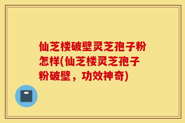 仙芝楼破壁灵芝孢子粉怎样(仙芝楼灵芝孢子粉破壁,功效神奇)-第1张图片-灵芝之家 仙芝楼破壁灵芝孢子粉怎样(仙芝楼灵芝孢子粉破壁,功效神奇)-第1张图片-灵芝之家