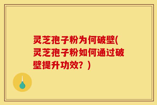 灵芝孢子粉为何破壁(灵芝孢子粉如何通过破壁提升功效?)-第1张图片-灵芝之家 灵芝孢子粉为何破壁(灵芝孢子粉如何通过破壁提升功效?)-第1张图片-灵芝之家