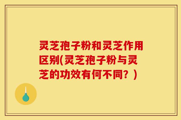 灵芝孢子粉和灵芝作用区别(灵芝孢子粉与灵芝的功效有何不同？)-第1张图片-灵芝之家