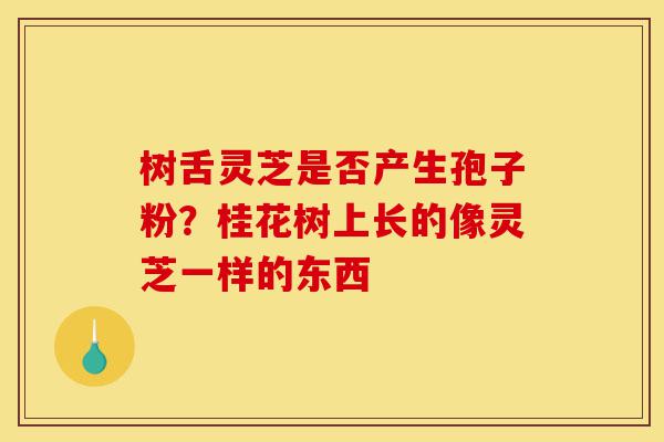 树舌灵芝是否产生孢子粉?桂花树上长的像灵芝一样的东西-第1张图片-灵芝之家 树舌灵芝是否产生孢子粉?桂花树上长的像灵芝一样的东西-第1张图片-灵芝之家