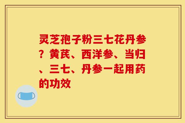 灵芝孢子粉三七花丹参?黄芪、西洋参、当归、三七、丹参一起用药的功效-第1张图片-灵芝之家 灵芝孢子粉三七花丹参?黄芪、西洋参、当归、三七、丹参一起用药的功效-第1张图片-灵芝之家