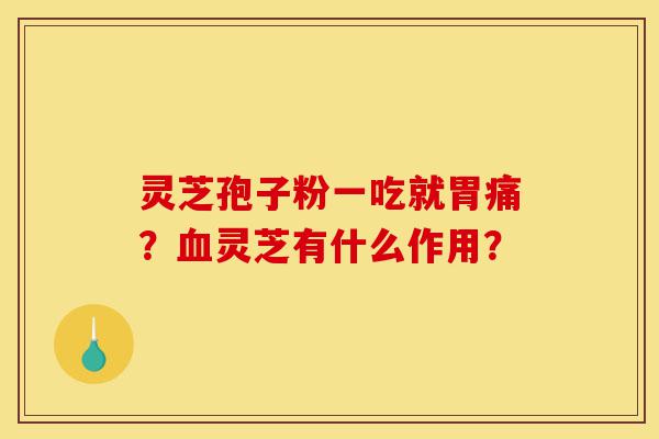 灵芝孢子粉一吃就胃痛?血灵芝有什么作用?-第1张图片-灵芝之家 灵芝孢子粉一吃就胃痛?血灵芝有什么作用?-第1张图片-灵芝之家