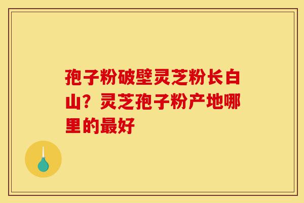孢子粉破壁灵芝粉长白山？灵芝孢子粉产地哪里的最好-第1张图片-灵芝之家