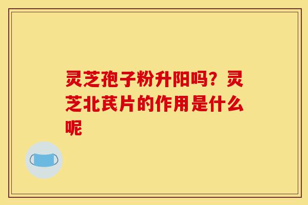灵芝孢子粉升阳吗?灵芝北芪片的作用是什么呢-第1张图片-灵芝之家 灵芝孢子粉升阳吗?灵芝北芪片的作用是什么呢-第1张图片-灵芝之家