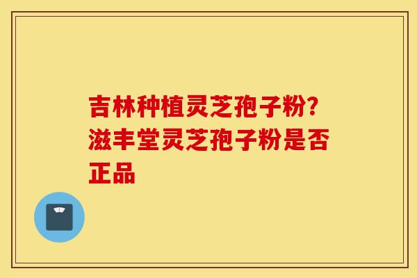 吉林种植灵芝孢子粉？滋丰堂灵芝孢子粉是否正品-第1张图片-灵芝之家