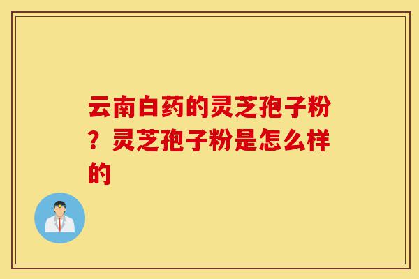 云南白药的灵芝孢子粉?灵芝孢子粉是怎么样的-第1张图片-灵芝之家 云南白药的灵芝孢子粉?灵芝孢子粉是怎么样的-第1张图片-灵芝之家