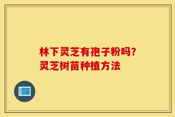 林下灵芝有孢子粉吗？灵芝树苗种植方法-第1张图片-灵芝之家