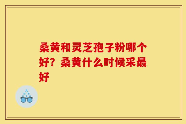 桑黄和灵芝孢子粉哪个好?桑黄什么时候采最好-第1张图片-灵芝之家 桑黄和灵芝孢子粉哪个好?桑黄什么时候采最好-第1张图片-灵芝之家