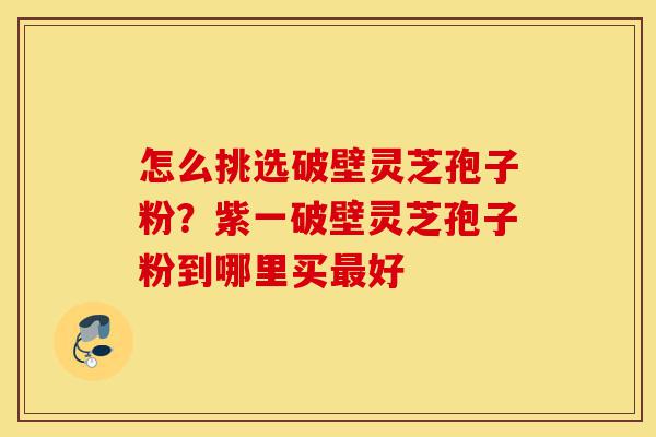 怎么挑选破壁灵芝孢子粉?紫一破壁灵芝孢子粉到哪里买最好-第1张图片-灵芝之家 怎么挑选破壁灵芝孢子粉?紫一破壁灵芝孢子粉到哪里买最好-第1张图片-灵芝之家