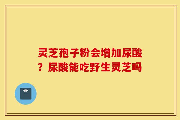 灵芝孢子粉会增加尿酸?尿酸能吃野生灵芝吗-第1张图片-灵芝之家 灵芝孢子粉会增加尿酸?尿酸能吃野生灵芝吗-第1张图片-灵芝之家