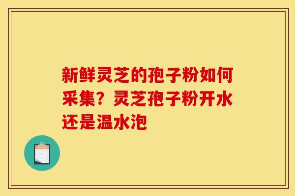 新鲜灵芝的孢子粉如何采集?灵芝孢子粉开水还是温水泡-第1张图片-灵芝之家 新鲜灵芝的孢子粉如何采集?灵芝孢子粉开水还是温水泡-第1张图片-灵芝之家