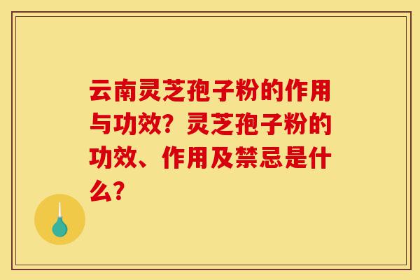 云南灵芝孢子粉的作用与功效？灵芝孢子粉的功效、作用及禁忌是什么？-第1张图片-灵芝之家