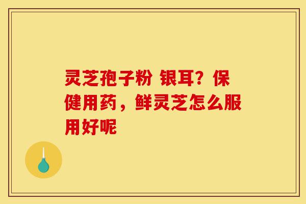 灵芝孢子粉 银耳?保健用药,鲜灵芝怎么服用好呢-第1张图片-灵芝之家 灵芝孢子粉 银耳?保健用药,鲜灵芝怎么服用好呢-第1张图片-灵芝之家