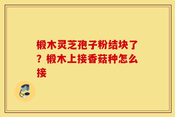 椴木灵芝孢子粉结块了?椴木上接香菇种怎么接-第1张图片-灵芝之家 椴木灵芝孢子粉结块了?椴木上接香菇种怎么接-第1张图片-灵芝之家