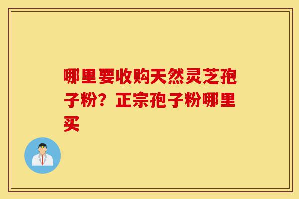 哪里要收购天然灵芝孢子粉?正宗孢子粉哪里买-第1张图片-灵芝之家 哪里要收购天然灵芝孢子粉?正宗孢子粉哪里买-第1张图片-灵芝之家