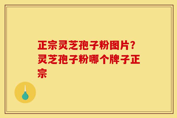 正宗灵芝孢子粉图片？灵芝孢子粉哪个牌子正宗-第1张图片-灵芝之家