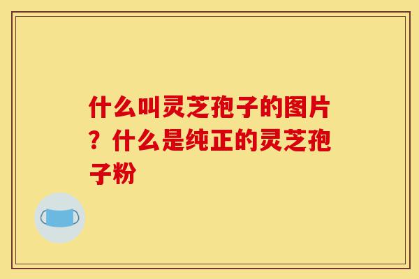 什么叫灵芝孢子的图片?什么是纯正的灵芝孢子粉-第1张图片-灵芝之家 什么叫灵芝孢子的图片?什么是纯正的灵芝孢子粉-第1张图片-灵芝之家