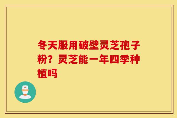 冬天服用破壁灵芝孢子粉?灵芝能一年四季种植吗-第1张图片-灵芝之家 冬天服用破壁灵芝孢子粉?灵芝能一年四季种植吗-第1张图片-灵芝之家