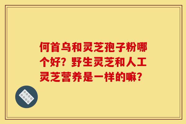 何首乌和灵芝孢子粉哪个好?野生灵芝和人工灵芝营养是一样的嘛?-第1张图片-灵芝之家 何首乌和灵芝孢子粉哪个好?野生灵芝和人工灵芝营养是一样的嘛?-第1张图片-灵芝之家
