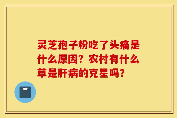 灵芝孢子粉吃了头痛是什么原因？农村有什么草是肝病的克星吗？-第1张图片-灵芝之家