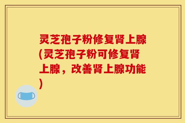 灵芝孢子粉修复肾上腺(灵芝孢子粉可修复肾上腺,改善肾上腺功能)-第1张图片-灵芝之家 灵芝孢子粉修复肾上腺(灵芝孢子粉可修复肾上腺,改善肾上腺功能)-第1张图片-灵芝之家