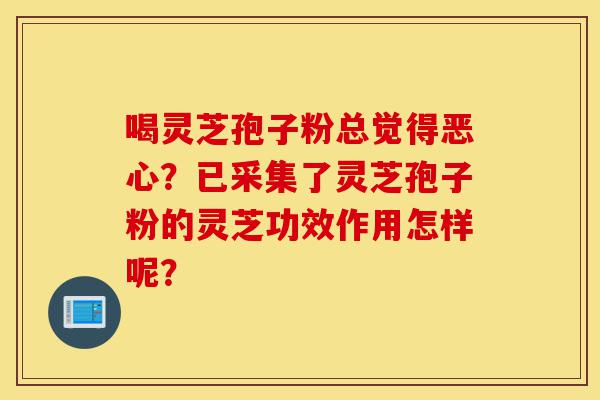 喝灵芝孢子粉总觉得恶心？已采集了灵芝孢子粉的灵芝功效作用怎样呢？-第1张图片-灵芝之家