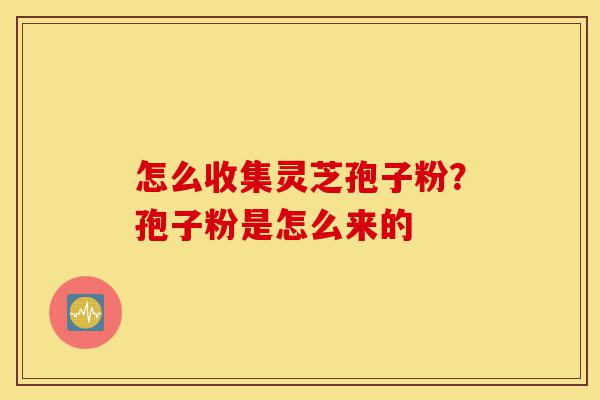 怎么收集灵芝孢子粉?孢子粉是怎么来的-第1张图片-灵芝之家 怎么收集灵芝孢子粉?孢子粉是怎么来的-第1张图片-灵芝之家