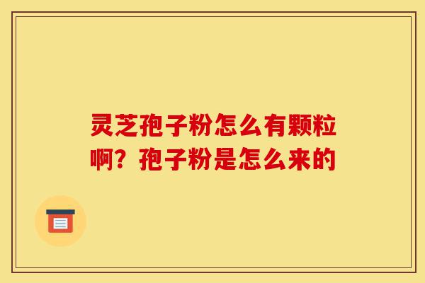 灵芝孢子粉怎么有颗粒啊？孢子粉是怎么来的-第1张图片-灵芝之家