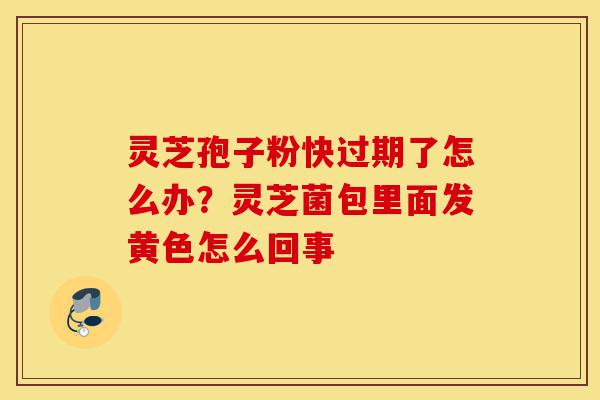灵芝孢子粉快过期了怎么办?灵芝菌包里面发黄色怎么回事-第1张图片-灵芝之家 灵芝孢子粉快过期了怎么办?灵芝菌包里面发黄色怎么回事-第1张图片-灵芝之家