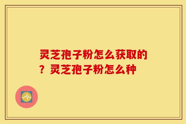 灵芝孢子粉怎么获取的?灵芝孢子粉怎么种-第1张图片-灵芝之家 灵芝孢子粉怎么获取的?灵芝孢子粉怎么种-第1张图片-灵芝之家