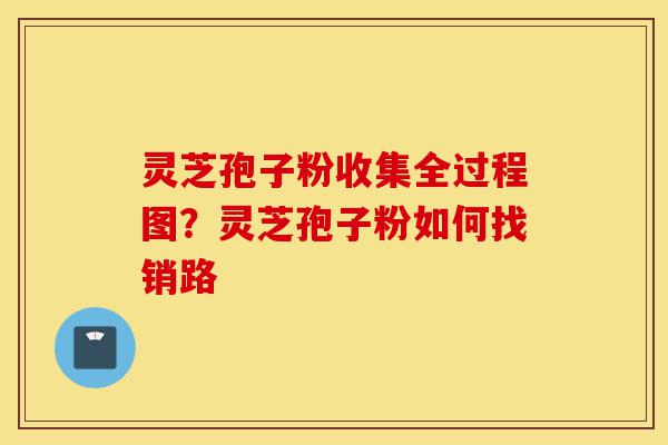 灵芝孢子粉收集全过程图？灵芝孢子粉如何找销路-第1张图片-灵芝之家
