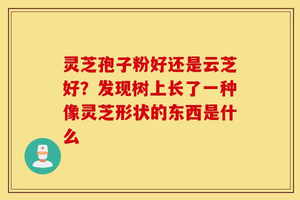灵芝孢子粉好还是云芝好？发现树上长了一种像灵芝形状的东西是什么-第1张图片-灵芝之家