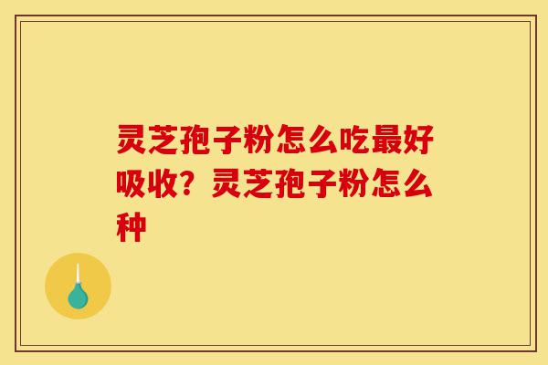 灵芝孢子粉怎么吃最好吸收?灵芝孢子粉怎么种-第1张图片-灵芝之家 灵芝孢子粉怎么吃最好吸收?灵芝孢子粉怎么种-第1张图片-灵芝之家