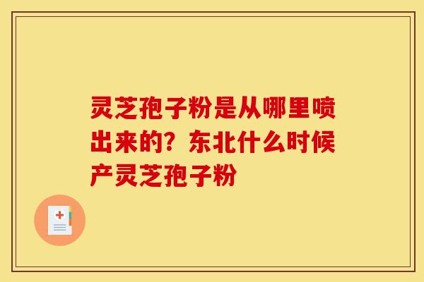 灵芝孢子粉是从哪里喷出来的?东北什么时候产灵芝孢子粉-第1张图片-灵芝之家 灵芝孢子粉是从哪里喷出来的?东北什么时候产灵芝孢子粉-第1张图片-灵芝之家