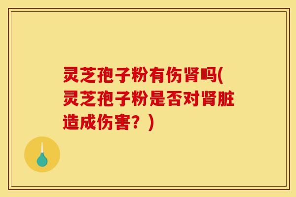 灵芝孢子粉有伤肾吗(灵芝孢子粉是否对肾脏造成伤害？)-第1张图片-灵芝之家
