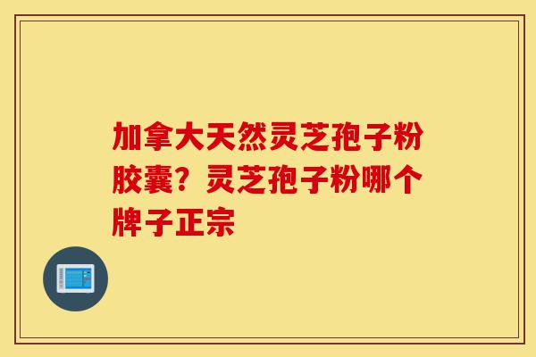 加拿大天然灵芝孢子粉胶囊?灵芝孢子粉哪个牌子正宗-第1张图片-灵芝之家 加拿大天然灵芝孢子粉胶囊?灵芝孢子粉哪个牌子正宗-第1张图片-灵芝之家