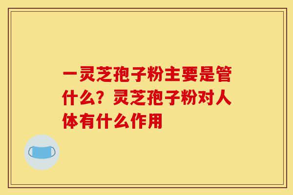 一灵芝孢子粉主要是管什么?灵芝孢子粉对人体有什么作用-第1张图片-灵芝之家 一灵芝孢子粉主要是管什么?灵芝孢子粉对人体有什么作用-第1张图片-灵芝之家