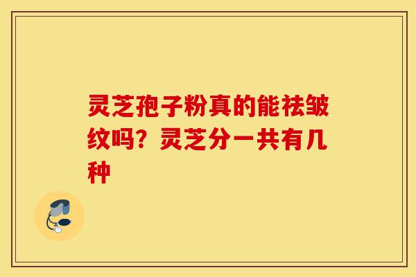 灵芝孢子粉真的能祛皱纹吗？灵芝分一共有几种-第1张图片-灵芝之家