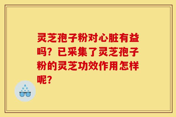 灵芝孢子粉对心脏有益吗?已采集了灵芝孢子粉的灵芝功效作用怎样呢?-第1张图片-灵芝之家 灵芝孢子粉对心脏有益吗?已采集了灵芝孢子粉的灵芝功效作用怎样呢?-第1张图片-灵芝之家