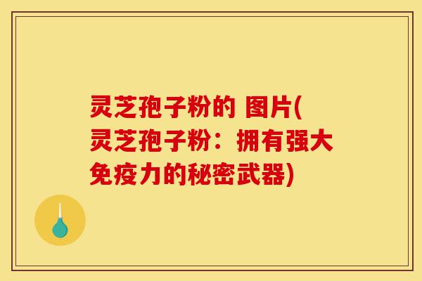 灵芝孢子粉的 图片(灵芝孢子粉:拥有强大免疫力的秘密武器)-第1张图片-灵芝之家 灵芝孢子粉的 图片(灵芝孢子粉:拥有强大免疫力的秘密武器)-第1张图片-灵芝之家
