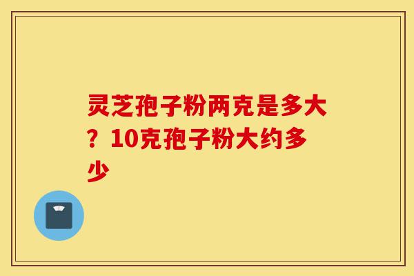 灵芝孢子粉两克是多大?10克孢子粉大约多少-第1张图片-灵芝之家 灵芝孢子粉两克是多大?10克孢子粉大约多少-第1张图片-灵芝之家