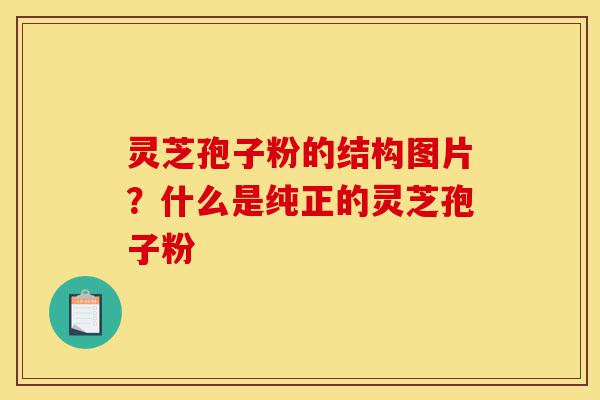 灵芝孢子粉的结构图片?什么是纯正的灵芝孢子粉-第1张图片-灵芝之家 灵芝孢子粉的结构图片?什么是纯正的灵芝孢子粉-第1张图片-灵芝之家