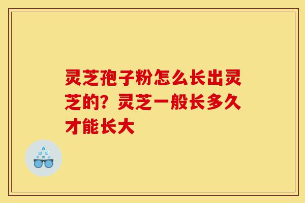 灵芝孢子粉怎么长出灵芝的?灵芝一般长多久才能长大-第1张图片-灵芝之家 灵芝孢子粉怎么长出灵芝的?灵芝一般长多久才能长大-第1张图片-灵芝之家