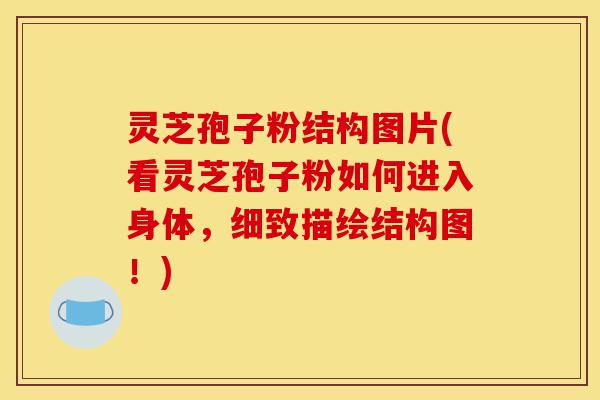 灵芝孢子粉结构图片(看灵芝孢子粉如何进入身体,细致描绘结构图!)-第1张图片-灵芝之家 灵芝孢子粉结构图片(看灵芝孢子粉如何进入身体,细致描绘结构图!)-第1张图片-灵芝之家
