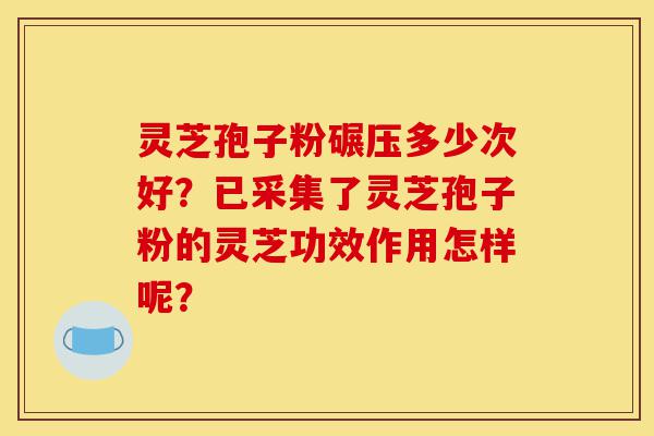 灵芝孢子粉碾压多少次好?已采集了灵芝孢子粉的灵芝功效作用怎样呢?-第1张图片-灵芝之家 灵芝孢子粉碾压多少次好?已采集了灵芝孢子粉的灵芝功效作用怎样呢?-第1张图片-灵芝之家
