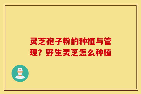 灵芝孢子粉的种植与管理?野生灵芝怎么种植-第1张图片-灵芝之家 灵芝孢子粉的种植与管理?野生灵芝怎么种植-第1张图片-灵芝之家