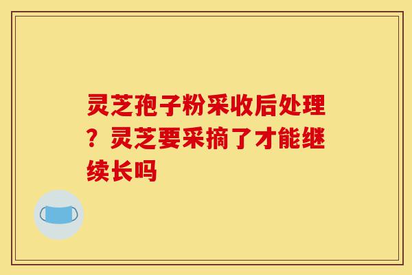 灵芝孢子粉采收后处理?灵芝要采摘了才能继续长吗-第1张图片-灵芝之家 灵芝孢子粉采收后处理?灵芝要采摘了才能继续长吗-第1张图片-灵芝之家