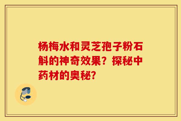 杨梅水和灵芝孢子粉石斛的神奇效果？探秘中药材的奥秘？-第1张图片-灵芝之家